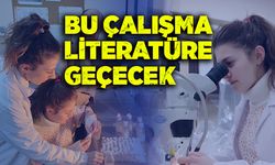 Bu çalışma literatüre geçecek