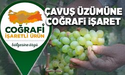 Çavuş üzümüne coğrafi işaret