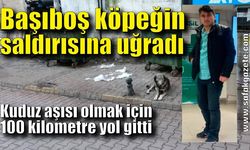 İşe giderken başıboş köpeğin saldırısına uğradı