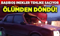 Ölümden döndü!