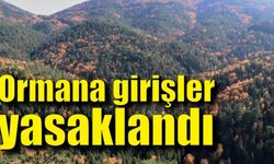 Türkiye'nin en büyük blok ormanlarına girişler yasaklandı