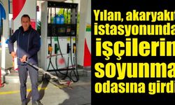 Yılan, işçilerin soyunma odasına girdi