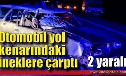 Otomobil ineklere çarptı: 2 yaralı