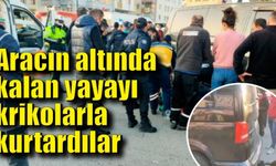 Aracın altında kalan yayayı krikolarla kurtardılar