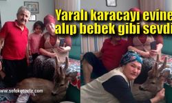 Yaralı karacayı evine alıp bebek gibi sevdi