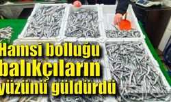 Hamsi bolluğu balıkçıların yüzünü güldürdü