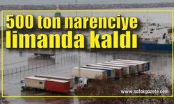 Ukrayna-Rusya krizi Zonguldak Limanı'ndaki ticareti de etkiledi