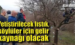 Yetiştirilecek fıstık, köylüler için gelir kaynağı olacak