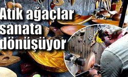 Atık ağaçlar bu ellerde sanata dönüşüyor