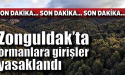 Zonguldak’ta ormanlara giriş-çıkış 1 Eylül tarihine kadar yasaklandı