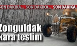 Zonguldak kara teslim!