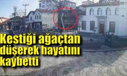 Kestiği ağaçtan düşerek hayatını kaybetti