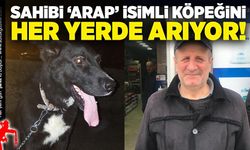 Sahibi ‘Arap’ isimli köpeği her yerde arıyor!