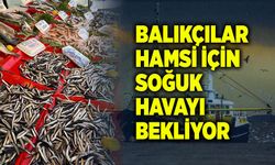 Balıkçılar hamsi bolluğu için soğuk havayı bekliyor