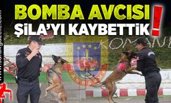 Bomba avcısı, Şila'yı kaybettik!