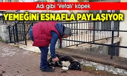 Adı gibi 'Vefalı' köpek, yemeğini esnafla paylaşıyor