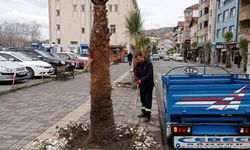 Gökçebey Belediyesi ağaç diplerini temizledi
