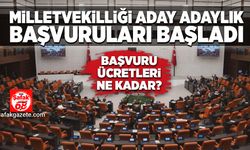 Milletvekili aday adayı başvuruları başladı