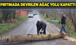 Fırtınada devrilen ağaç yolu kapattı