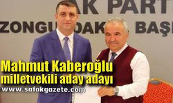 Mahmut Kaberoğlu milletvekili aday adayı