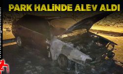 Park halinde alev aldı