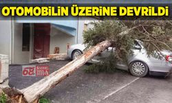 Otomobilin üzerine devrildi