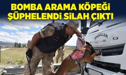 Bomba arama köpeği şüphelendi silah çıktı