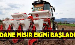 Bolu'da dane mısır ekimi başladı