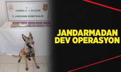 Jandarma 3 ay içinde 36 operasyon düzenledi