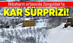 İlkbaharın ortasında Zonguldak’ta kar sürprizi
