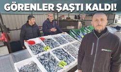 Görenler şaştı kaldı!