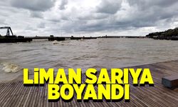 Zonguldak'ta liman sarıya boyandı