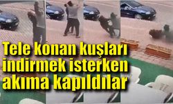 Tele konan kuşları indirmek isterken akıma kapıldılar