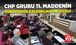 CHP grubu 11. maddenin gündemden kaldırılmasını istedi. 