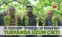 Turfanda üzüm çıktı, ilk siparişler Ortadoğu ve Rusya'dan