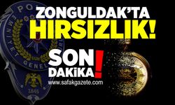 Zonguldak’ta hırsızlık ihbarı üzerine, polisler harekete geçti