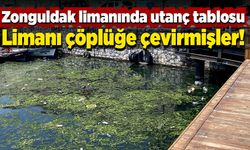 Zonguldak limanında utanç verici tablo! Bu kadarına da pes!