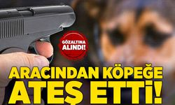 Çaycuma’da aracından köpeğe ateş eden şahıs gözaltına alındı!