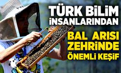 Türk bilim insanlarından bal arısı zehrinde önemli keşif