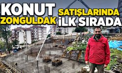Konut satışlarında Zonguldak ilk sırada