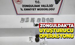 Zonguldak’ta uyuşturucu operasyonu düzenlendi, 1 tutuklama