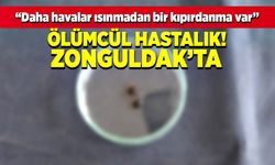 Ölümcül hastalık Zonguldak'ta “Daha havalar ısınmadan bir kıpırdanma var”