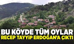 Köyün tamamı oylarını Cumhurbaşkanı Recep Tayyip Erdoğan'a verdi