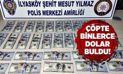 Çöpte binlerce dolar buldu!