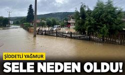 Şiddetli yağmur sele neden oldu!