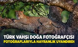 Vahşi yaşam fotoğrafçısının fotoğrafları hayranlık uyandırdı!