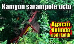 İlginç kaza; Şarampole uçan kamyon ağaçta asılı kaldı
