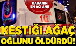 Kestiği ağaç oğlunu öldürdü!