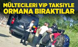 Mültecileri VİP taksiyle ormana bıraktılar