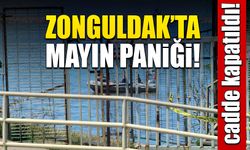 Zonguldak'ta mayın paniği cadde kapatıldı!